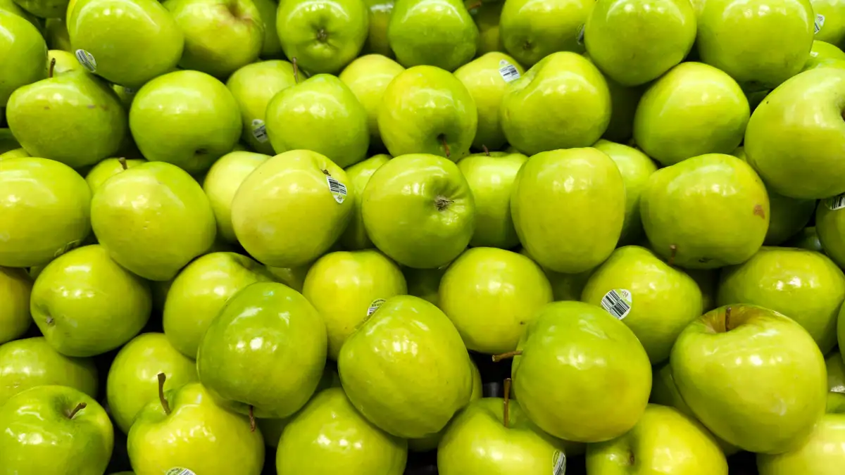 Zo kies je zelf een appelras dat weinig schurft krijgt
