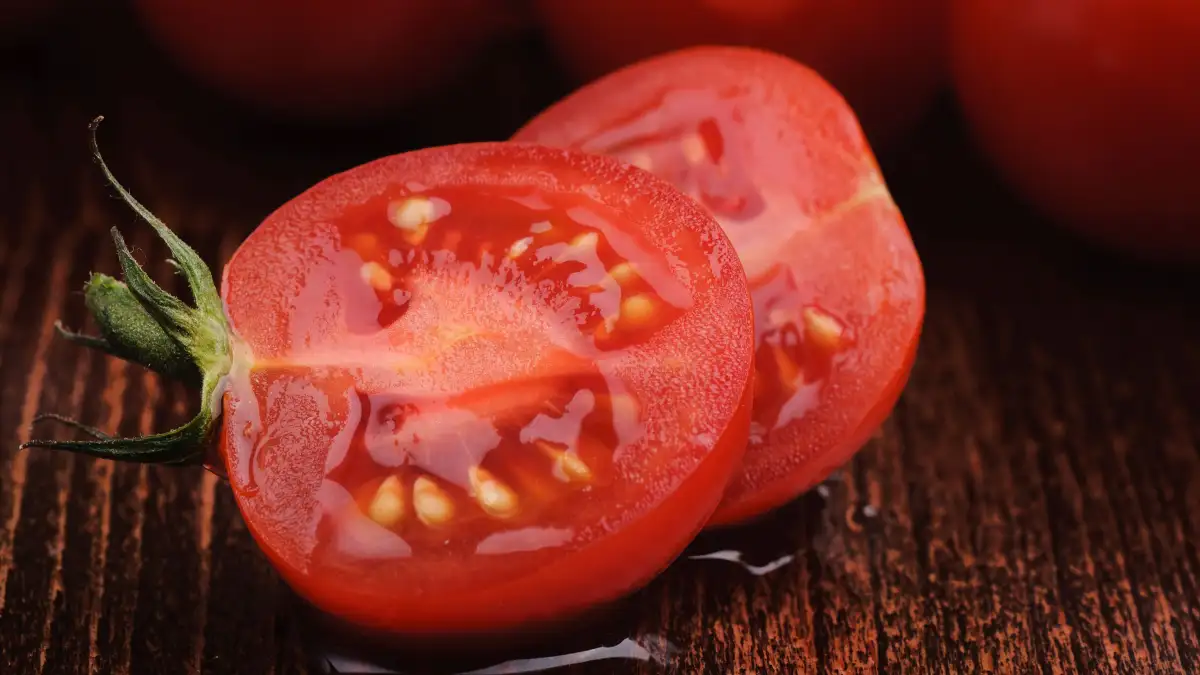 Waarom tomatenzaad eerst moet gisten voor je het droogt