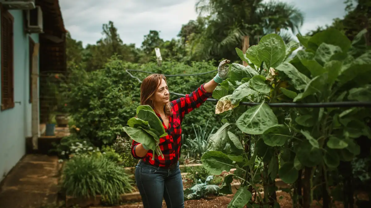 Wat een tuinbouwkundige per maand in de moestuin checkt